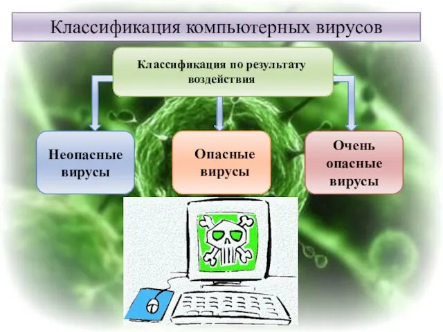 Классификация компьютерных вирусов Классификация по результату воздействия Неопасные вирусы Очень опасные вирусы Опасные вирусы