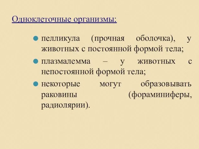 Одноклеточные организмы: пелликула (прочная оболочка), у животных с постоянной формой