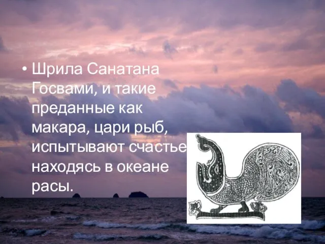 Шрила Санатана Госвами, и такие преданные как макара, цари рыб, испытывают счастье, находясь в океане расы.