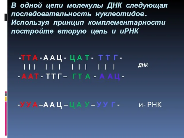 В одной цепи молекулы ДНК следующая последовательность нуклеотидов. Используя принцип