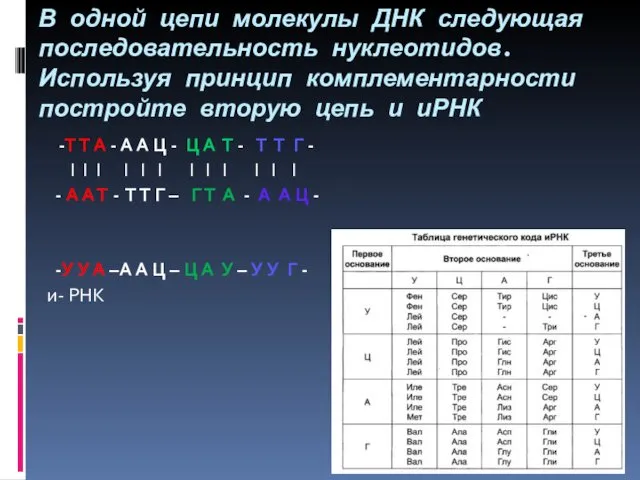 В одной цепи молекулы ДНК следующая последовательность нуклеотидов. Используя принцип