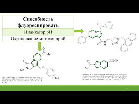 Marangoci N. L. Pyridyl-indolizine derivatives as DNA binders and pH-sensitive