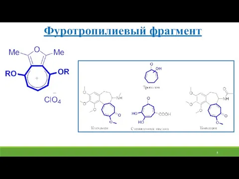 Фуротропилиевый фрагмент