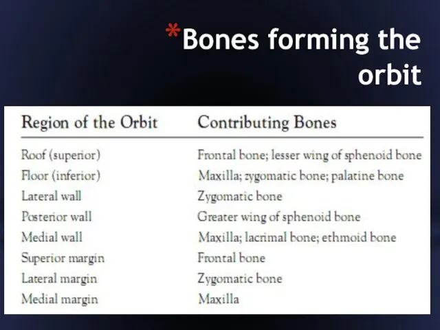 Bones forming the orbit
