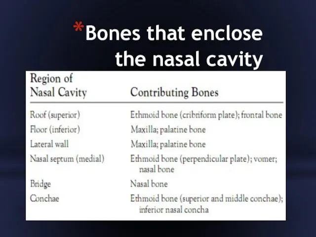 Bones that enclose the nasal cavity
