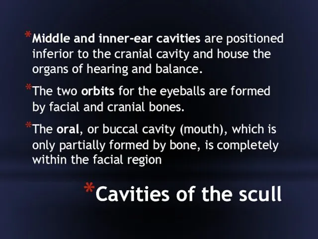 Cavities of the scull Middle and inner-ear cavities are positioned inferior to the