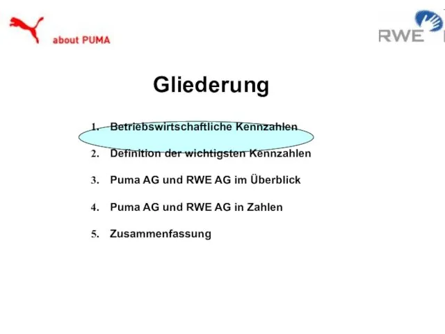 Betriebswirtschaftliche Kennzahlen Definition der wichtigsten Kennzahlen Puma AG und RWE