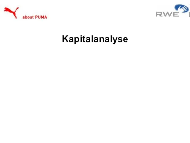 Kapitalanalyse