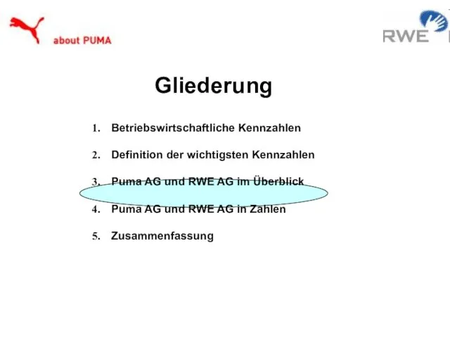 Betriebswirtschaftliche Kennzahlen Definition der wichtigsten Kennzahlen Puma AG und RWE