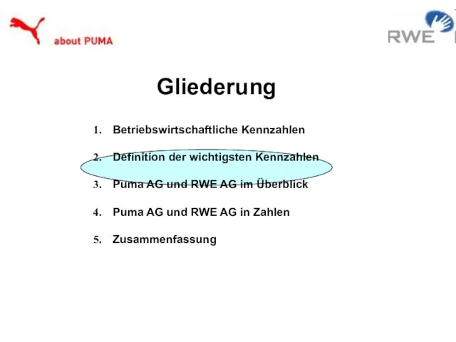 Betriebswirtschaftliche Kennzahlen Definition der wichtigsten Kennzahlen Puma AG und RWE