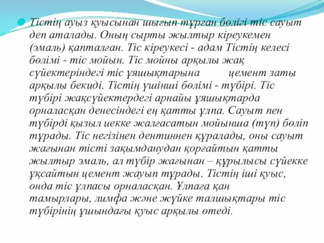 Тістің ауыз қуысынан шығып тұрған бөлігі тіс сауыт деп аталады.