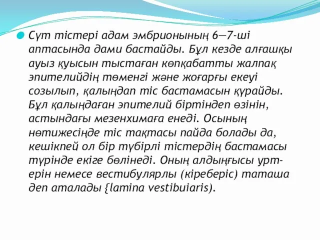 Сүт тістері адам эмбрионының 6—7-ші аптасында дами бастайды. Бұл кезде