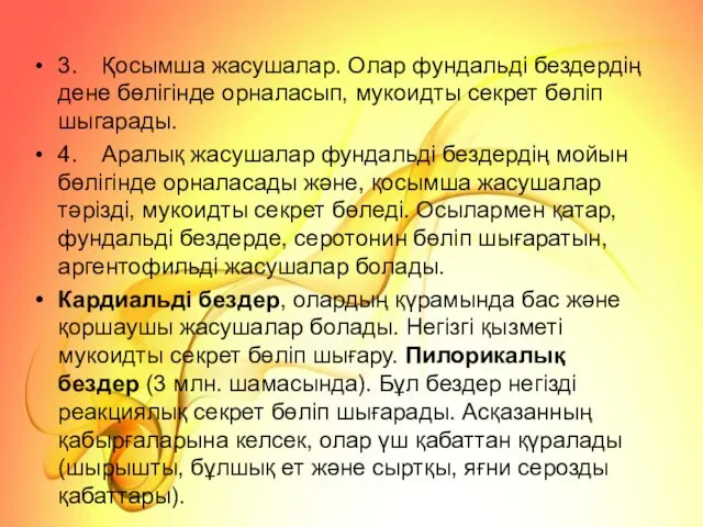 3. Қосымша жасушалар. Олар фундальді бездердің дене бөлігінде орналасып, мукоидты