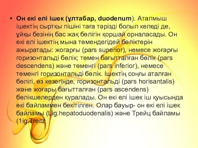 Он екі елі ішек (ұлтабар, duodenum). Аталмыш ішектің сыртқы пішіні