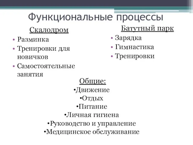 Функциональные процессы Скалодром Разминка Тренировки для новичков Самостоятельные занятия Батутный