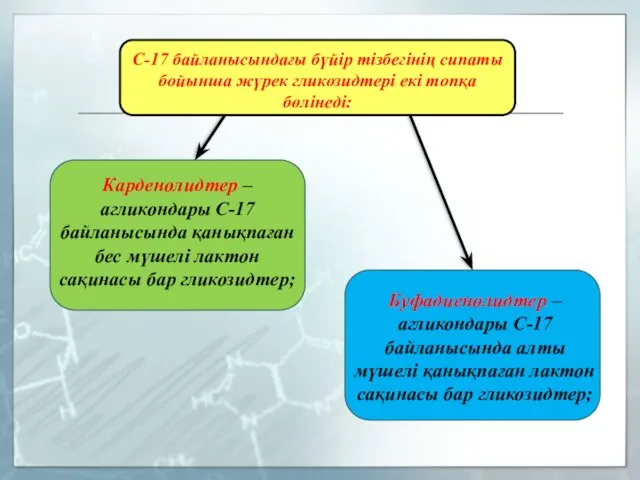 С-17 байланысындағы бүйір тізбегінің сипаты бойынша жүрек гликозидтері екі топқа