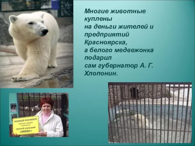 Многие животные куплены на деньги жителей и предприятий Красноярска, а белого медвежонка подарил