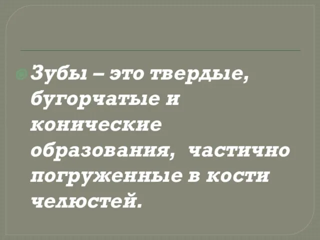 Зубы – это твердые, бугорчатые и конические образования, частично погруженные в кости челюстей.