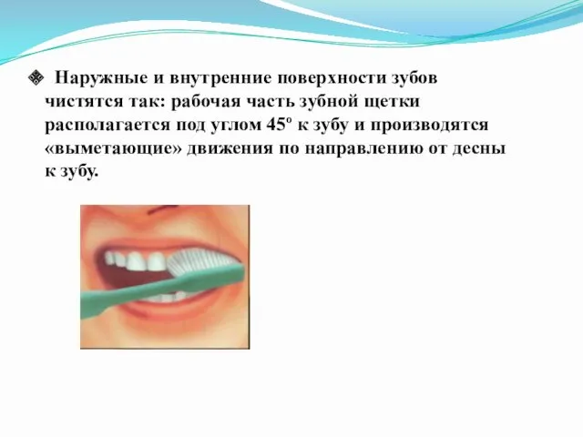 Наружные и внутренние поверхности зубов чистятся так: рабочая часть зубной