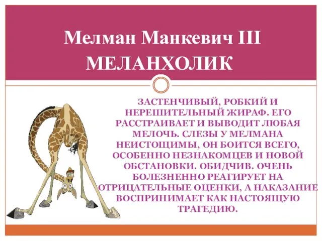 ЗАСТЕНЧИВЫЙ, РОБКИЙ И НЕРЕШИТЕЛЬНЫЙ ЖИРАФ. ЕГО РАССТРАИВАЕТ И ВЫВОДИТ ЛЮБАЯ