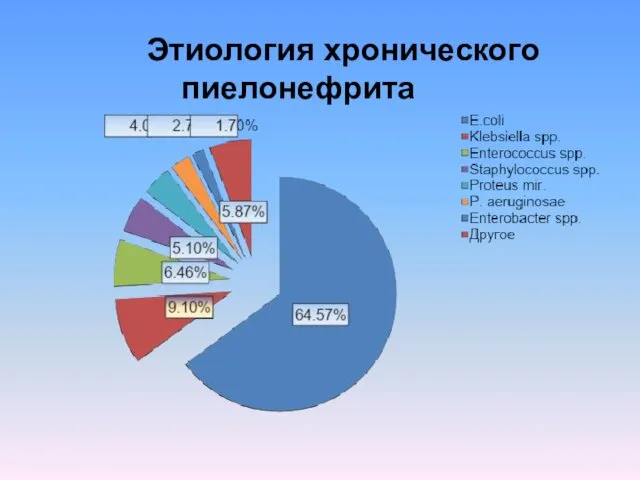 Этиология хронического пиелонефрита