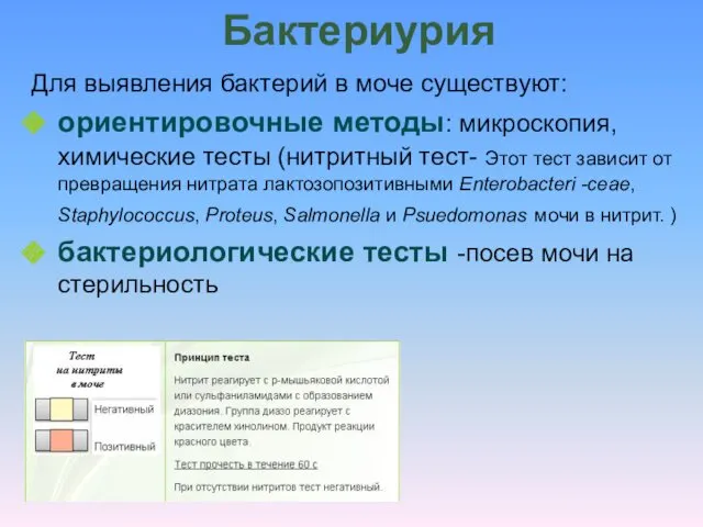 Бактериурия Для выявления бактерий в моче существуют: ориентировочные методы: микроскопия,