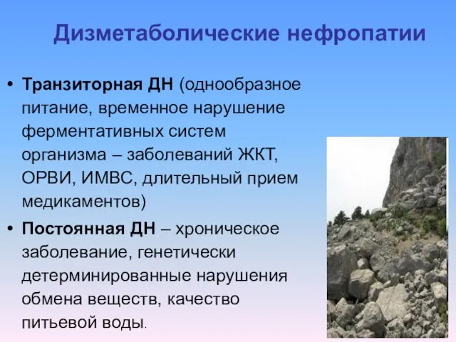 Дизметаболические нефропатии Транзиторная ДН (однообразное питание, временное нарушение ферментативных систем