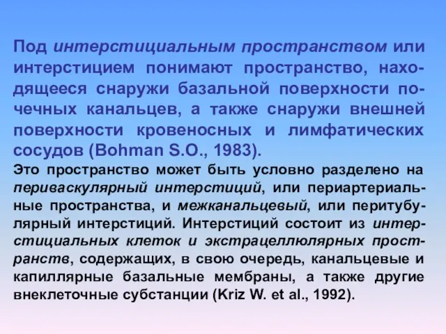 Под интерстициальным пространством или интерстицием понимают пространство, нахо-дящееся снаружи базальной