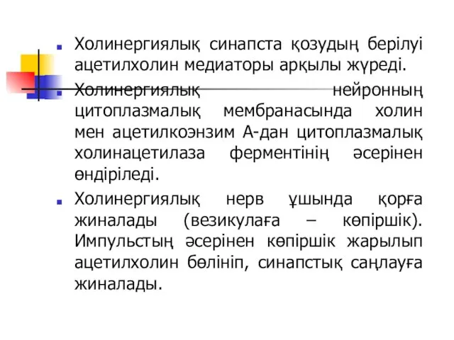 Холинергиялық синапста қозудың берілуі ацетилхолин медиаторы арқылы жүреді. Холинергиялық нейронның