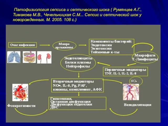 Патофизиология сепсиса и септического шока ( Румянцев А.Г., Тимакова М.В.,