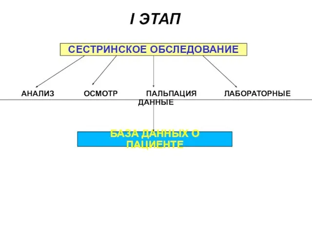 I ЭТАП СЕСТРИНСКОЕ ОБСЛЕДОВАНИЕ АНАЛИЗ ОСМОТР ПАЛЬПАЦИЯ ЛАБОРАТОРНЫЕ ДАННЫЕ БАЗА ДАННЫХ О ПАЦИЕНТЕ