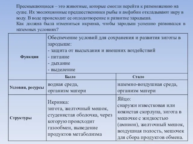 Пресмыкающиеся – это животные, которые смогли перейти к размножению на