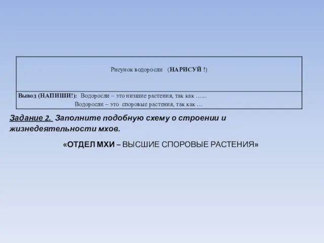 Задание 2. Заполните подобную схему о строении и жизнедеятельности мхов. «ОТДЕЛ МХИ – ВЫСШИЕ СПОРОВЫЕ РАСТЕНИЯ»