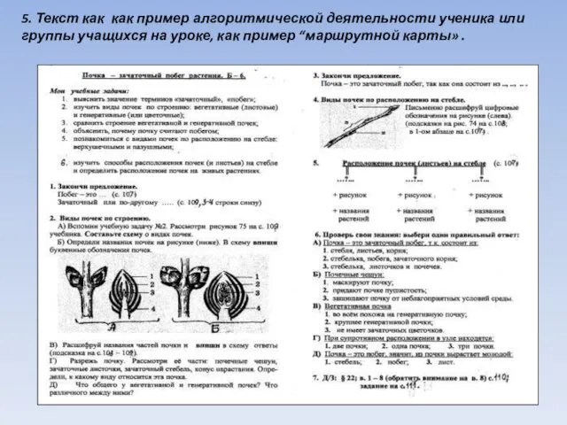 5. Текст как как пример алгоритмической деятельности ученика или группы