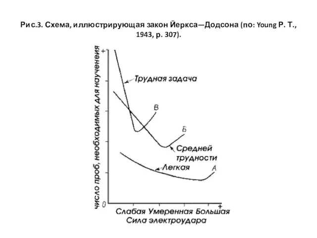 Рис.3. Схема, иллюстрирующая закон Йеркса—Додсона (по: Young Р. Т., 1943, р. 307).