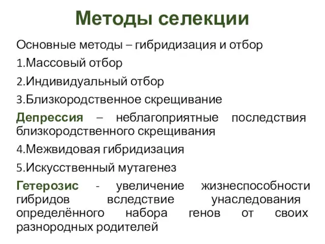 Методы селекции Основные методы – гибридизация и отбор 1.Массовый отбор