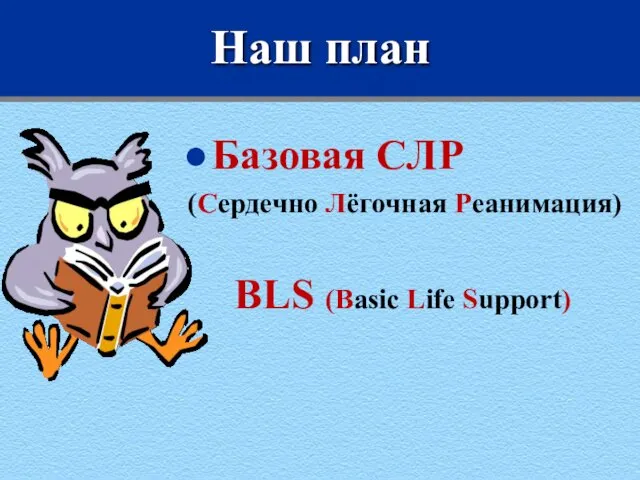 Наш план Базовая СЛР (Сердечно Лёгочная Реанимация) BLS (Basic Life Support)