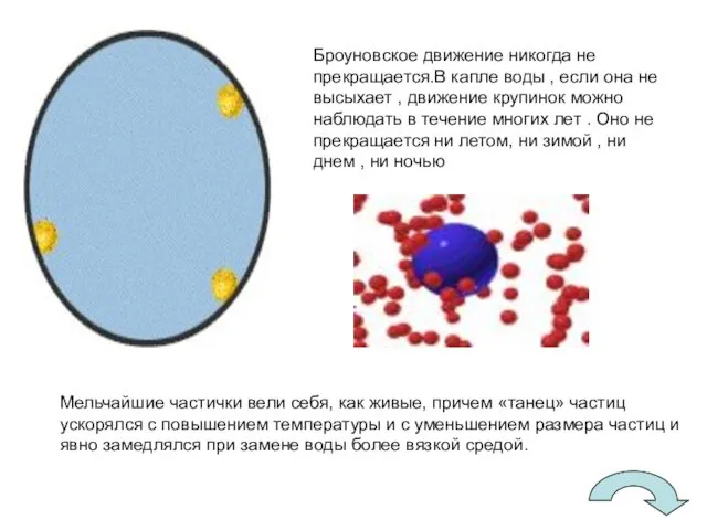 Броуновское движение никогда не прекращается.В капле воды , если она