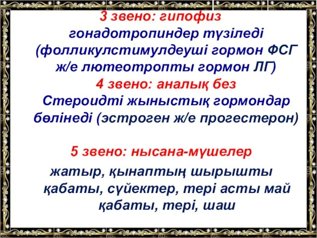 3 звено: гипофиз гонадотропиндер түзіледі (фолликулстимулдеуші гормон ФСГ ж/е лютеотропты гормон ЛГ) 4