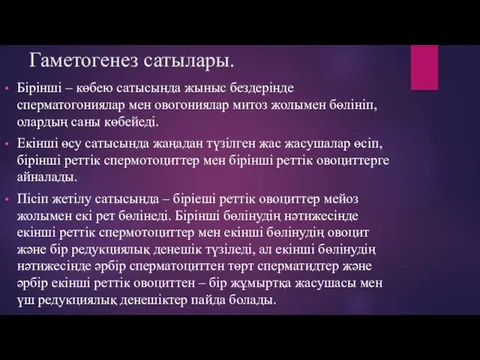 Гаметогенез сатылары. Бірінші – көбею сатысында жыныс бездерінде сперматогониялар мен