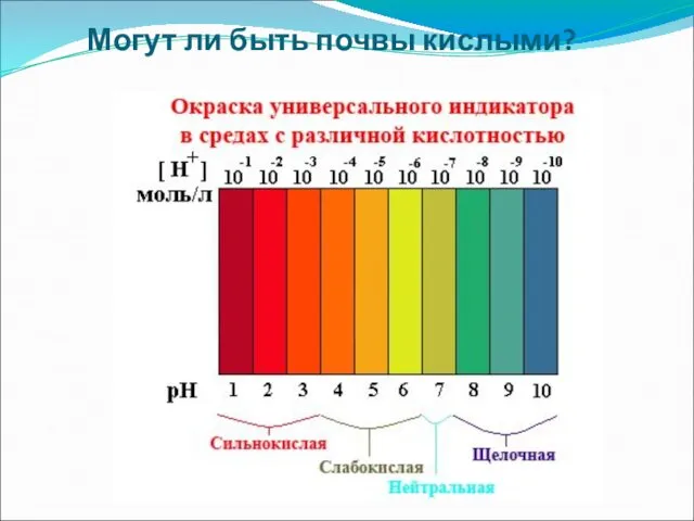 Могут ли быть почвы кислыми?