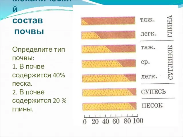 Механический состав почвы Определите тип почвы: 1. В почве содержится