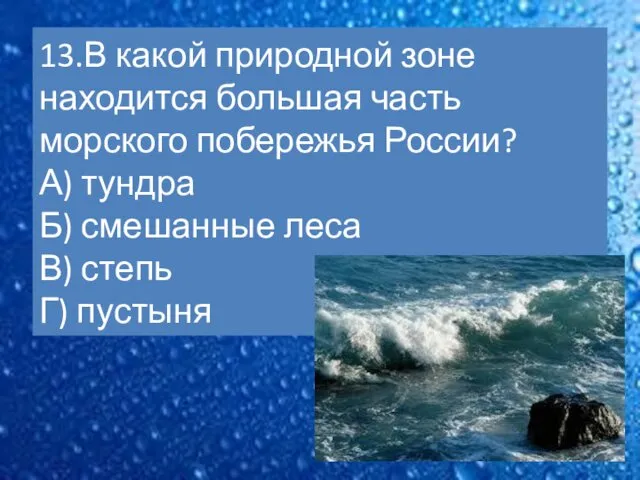 13.В какой природной зоне находится большая часть морского побережья России?