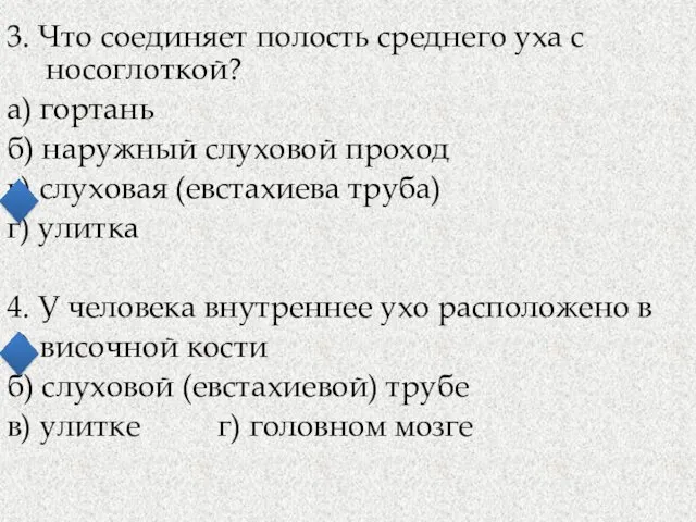 3. Что соединяет полость среднего уха с носоглоткой? а) гортань