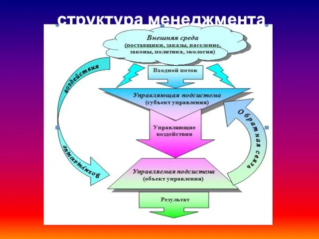 структура менеджмента