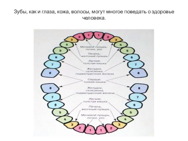 Зубы, как и глаза, кожа, волосы, могут многое поведать о здоровье человека.