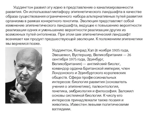 Уоддингтон развил эту идею в представление о канализированности развития. Он использовал метафору эпигенетического