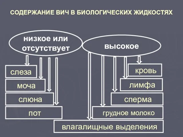 СОДЕРЖАНИЕ ВИЧ В БИОЛОГИЧЕСКИХ ЖИДКОСТЯХ низкое или отсутствует высокое слеза моча слюна пот