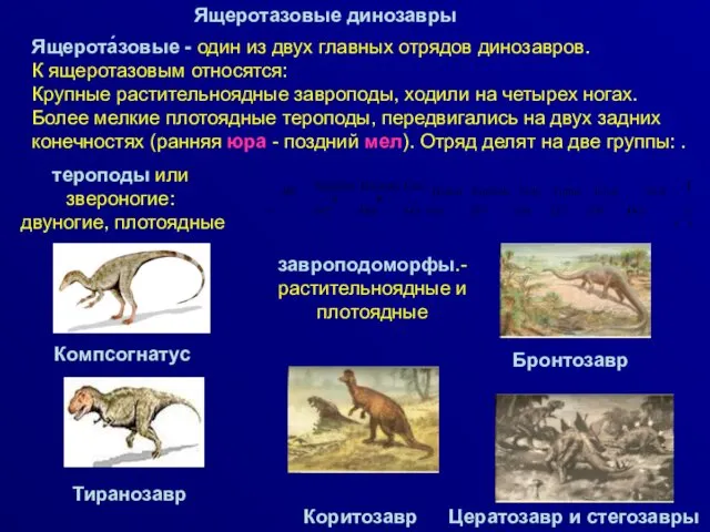 Ящеротазовые динозавры Компсогнатус Бронтозавр Коритозавр Цератозавр и стегозавры Ящерота́зовые -