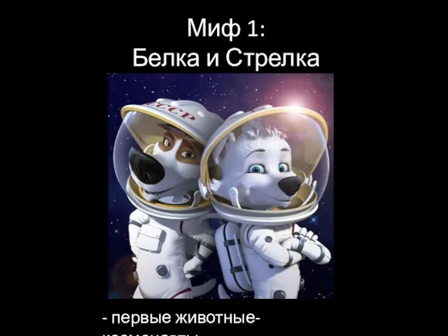 Миф 1: Белка и Стрелка - первые животные-космонавты